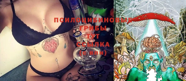 ECSTASY Бугульма